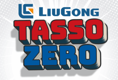 TASSO